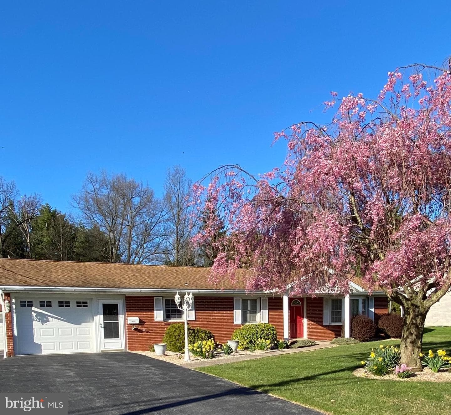 215 University Drive photo 2