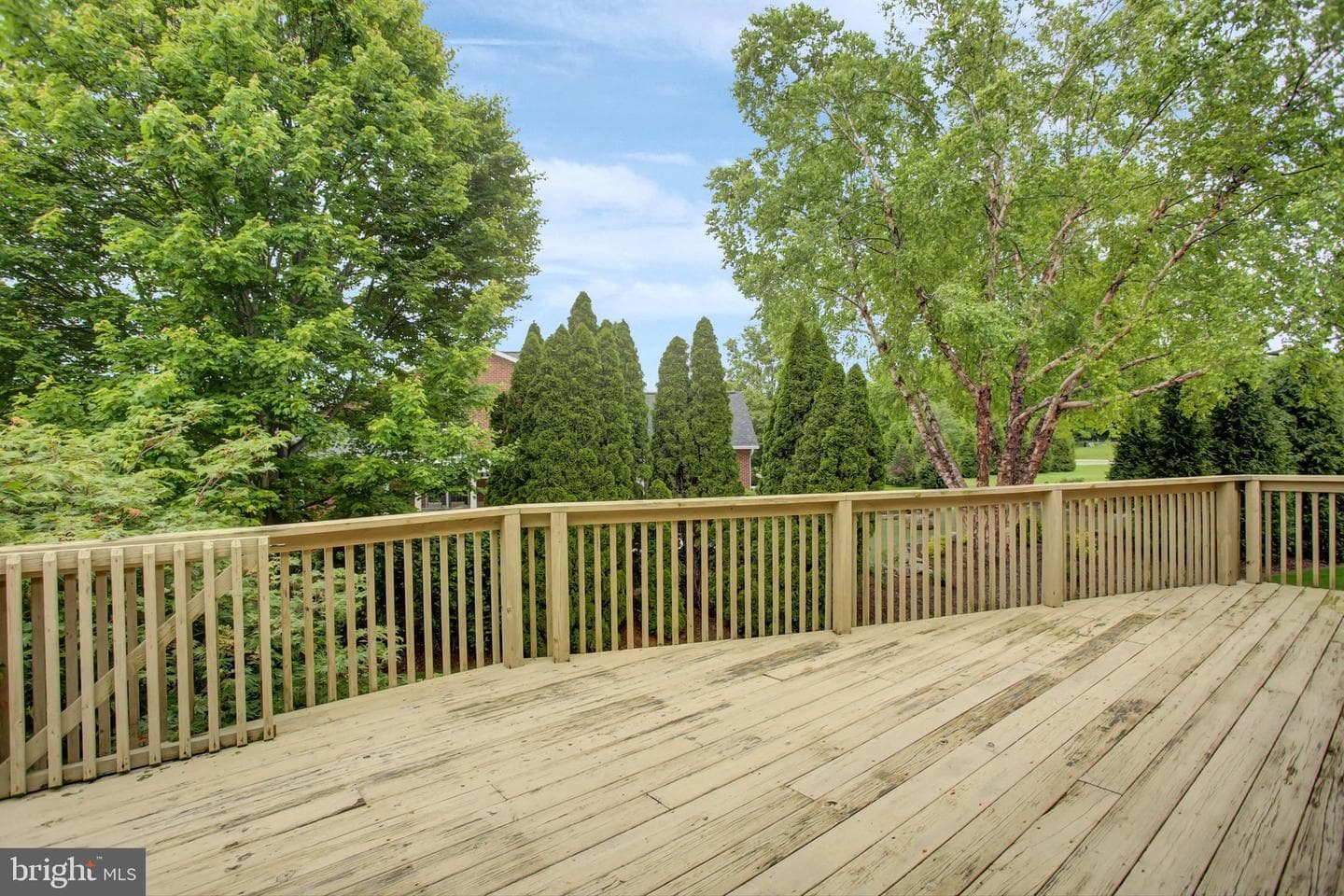 344 Moss Spring Avenue photo 48