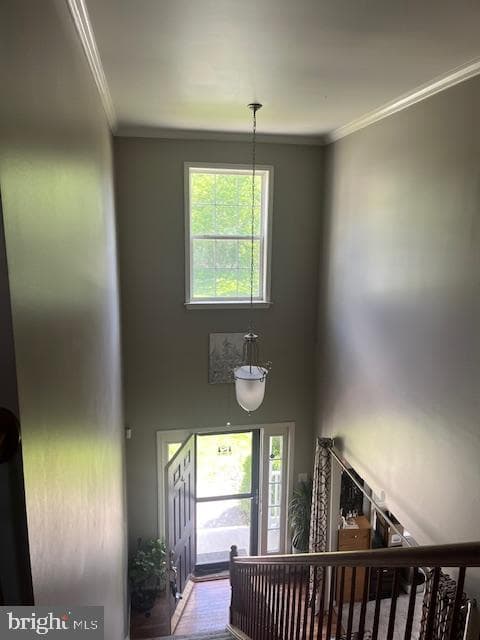 1273 Upland Drive photo 7