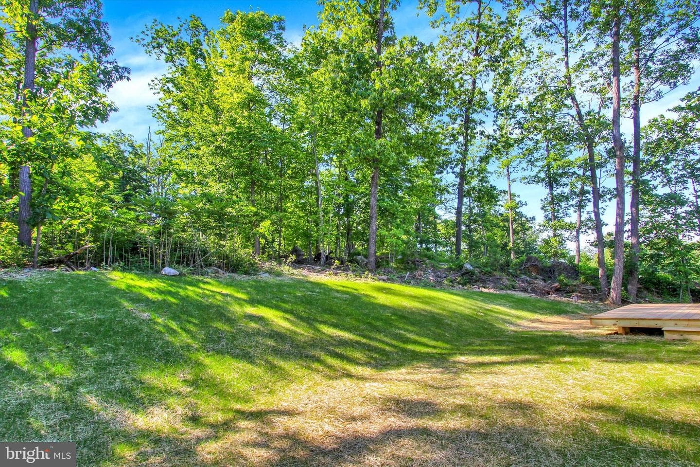 12753 Arielle Lane photo 28