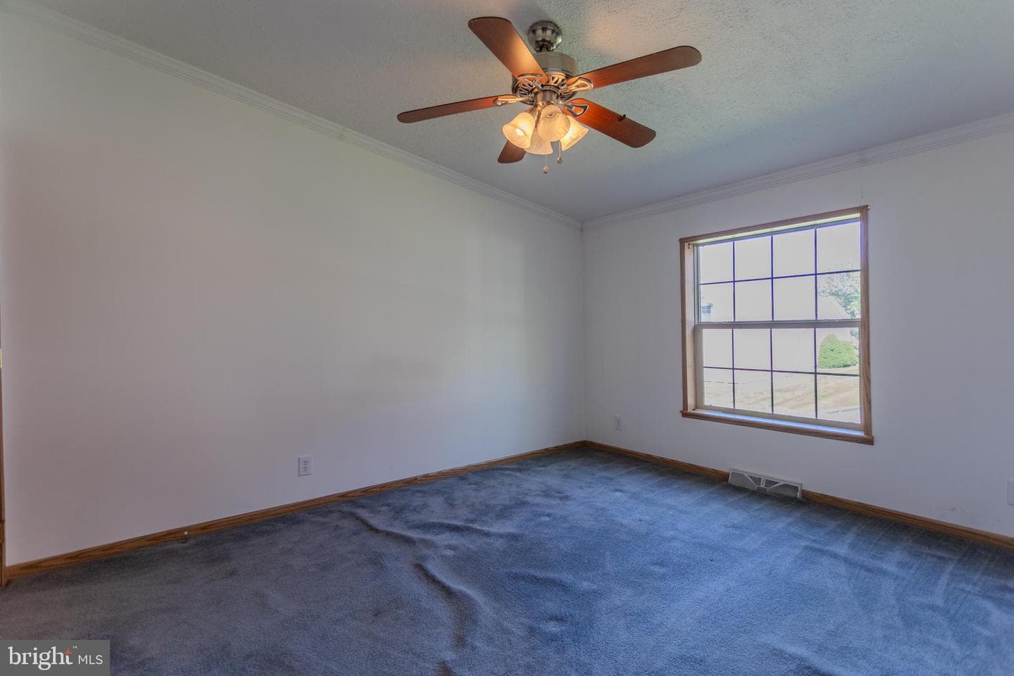 186 Hampton Drive photo 40