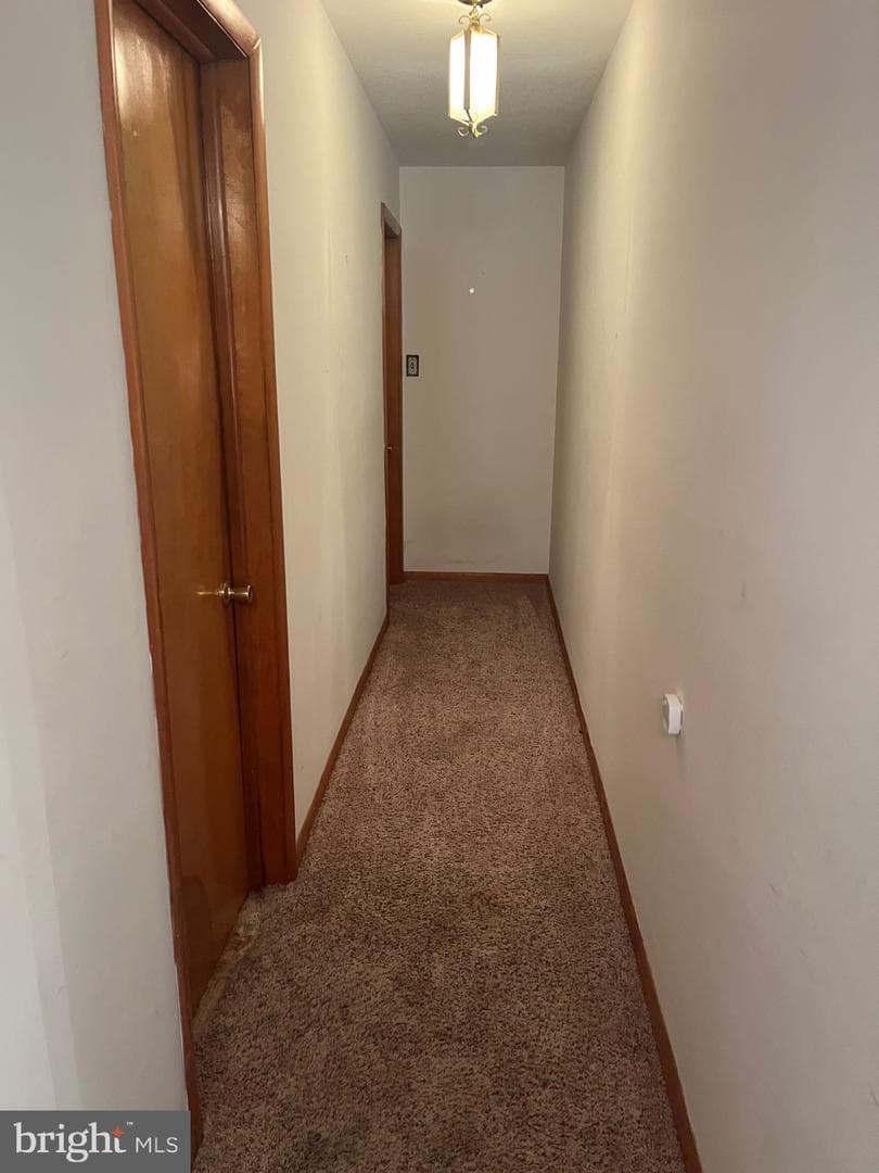 313 Northfield Avenue photo 18