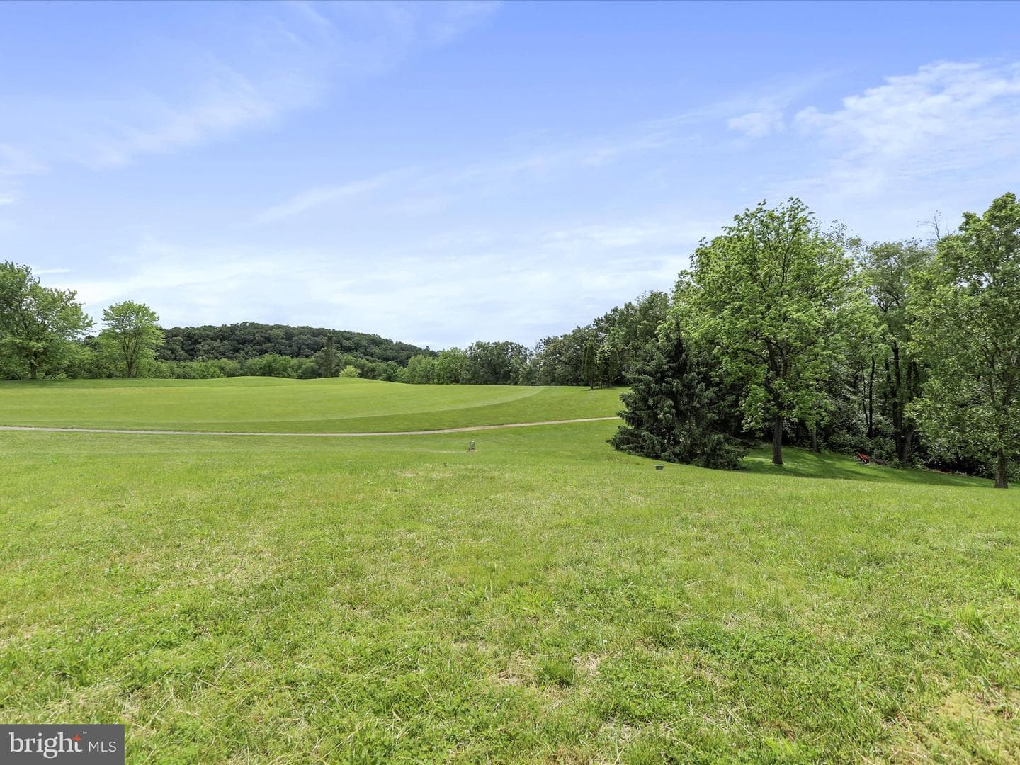 2238 Castlegreen Drive photo 64