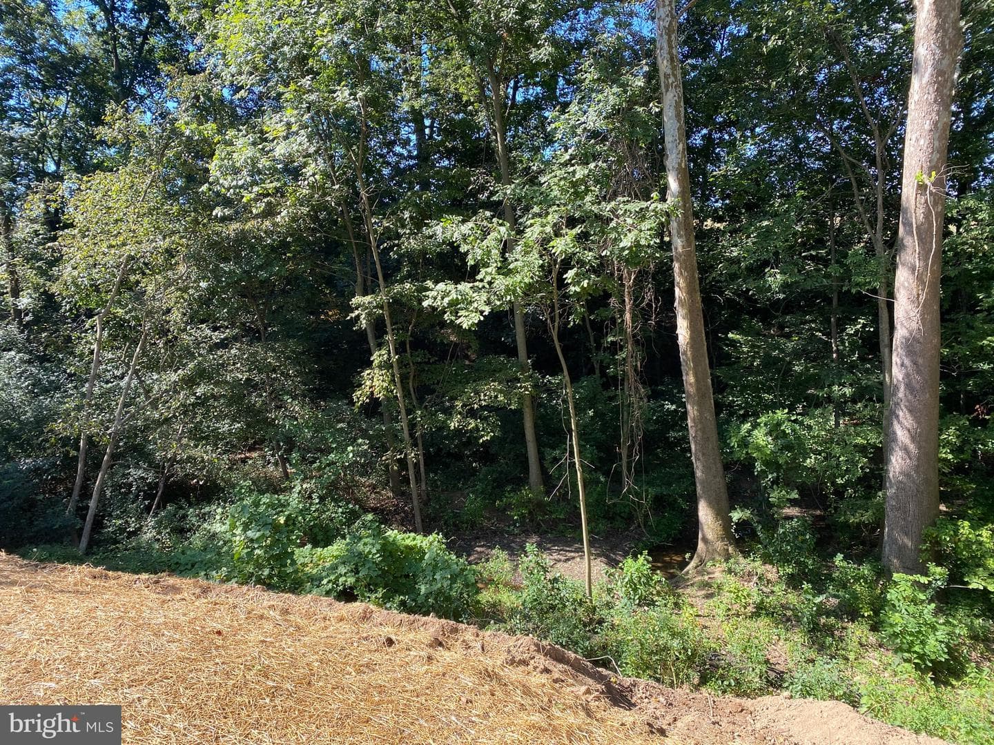 148 Buckingham Drive photo 18