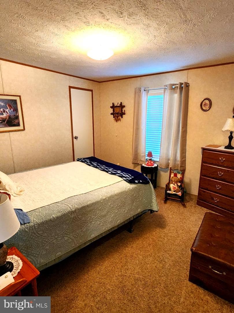 4612 Holly Drive photo 29