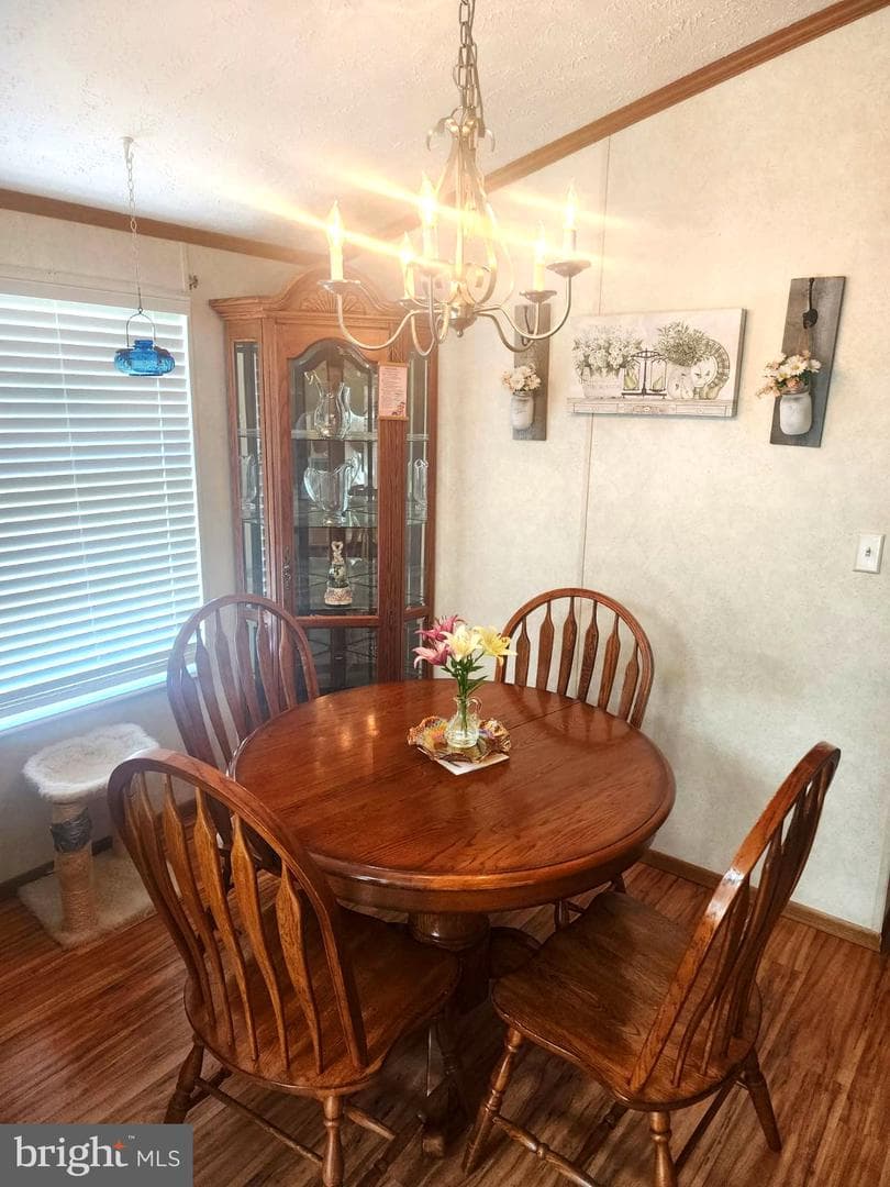 4612 Holly Drive photo 33