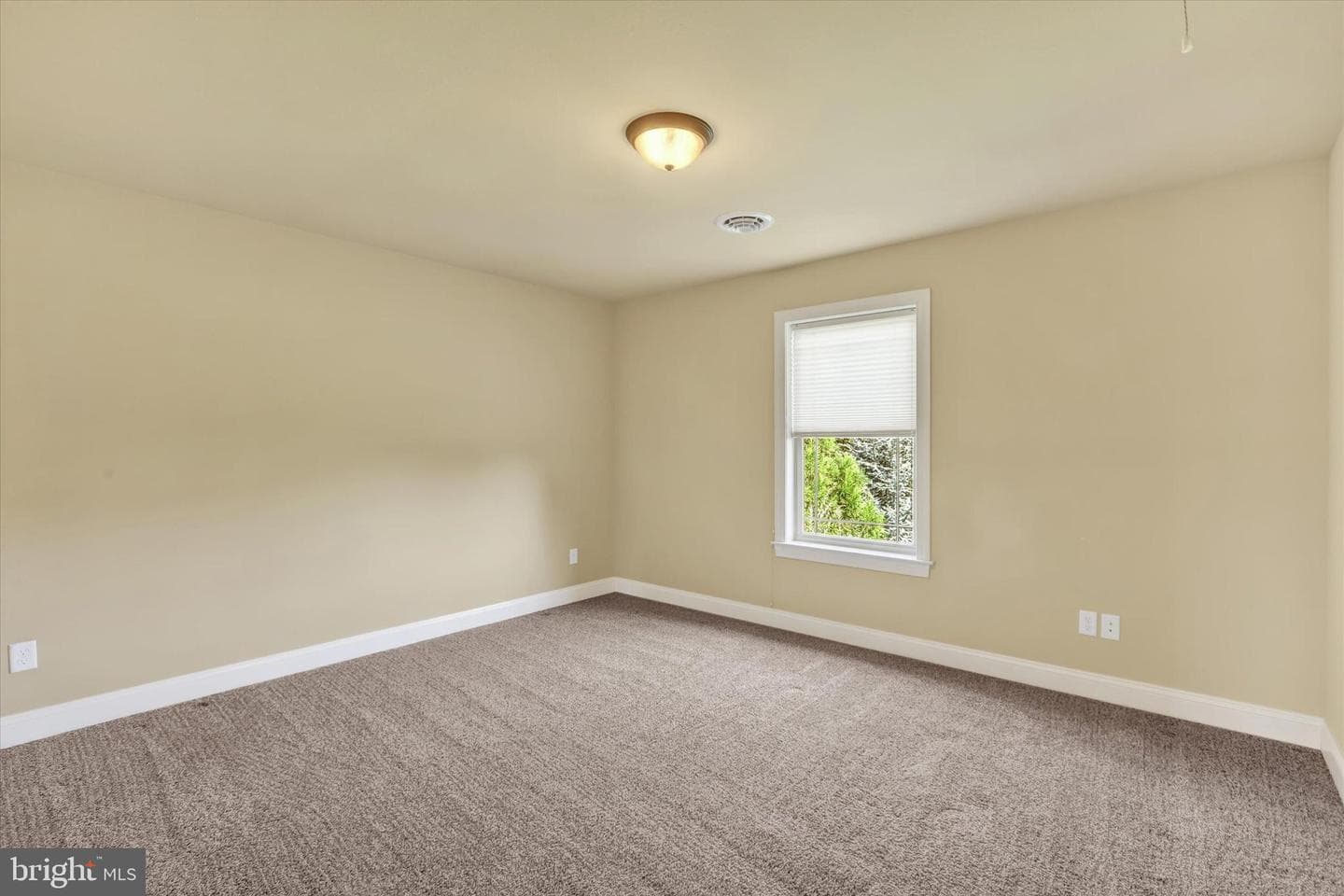 202 Summer Breeze Lane photo 19