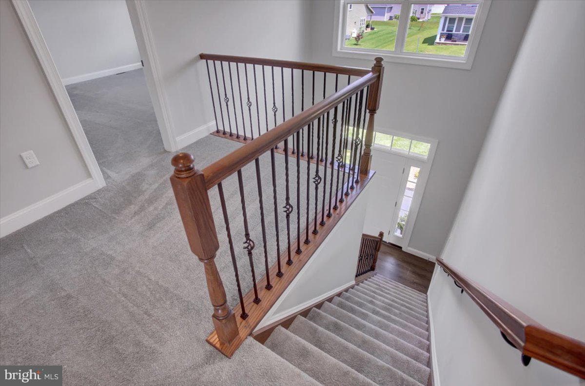 454 Winchester Drive photo 26