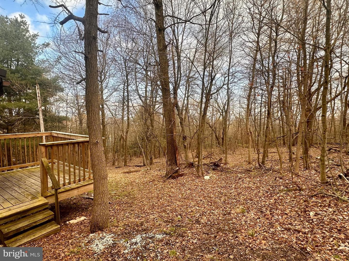 15483 Dogwood Drive photo 7