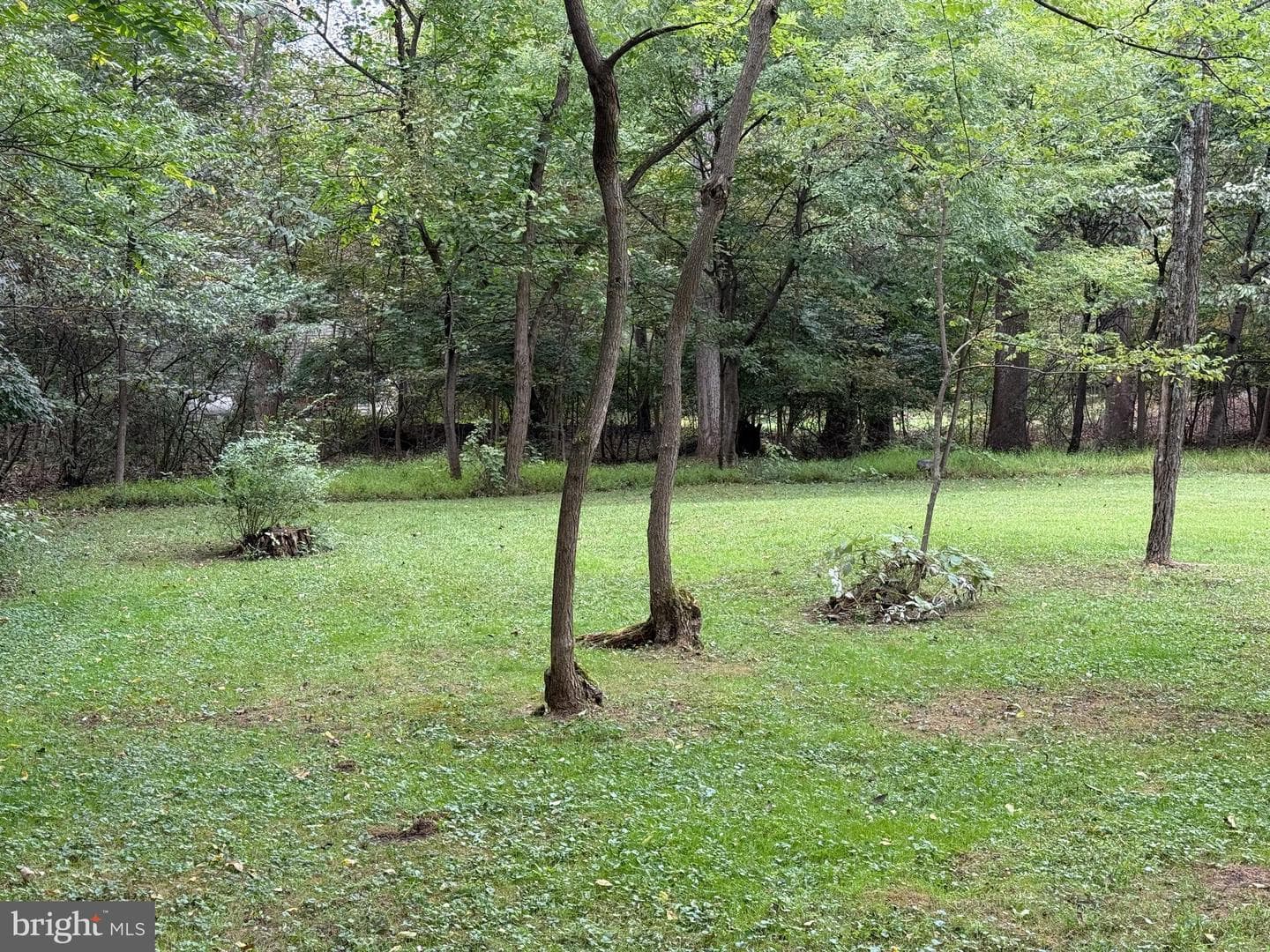 9969 Circle Drive photo 10