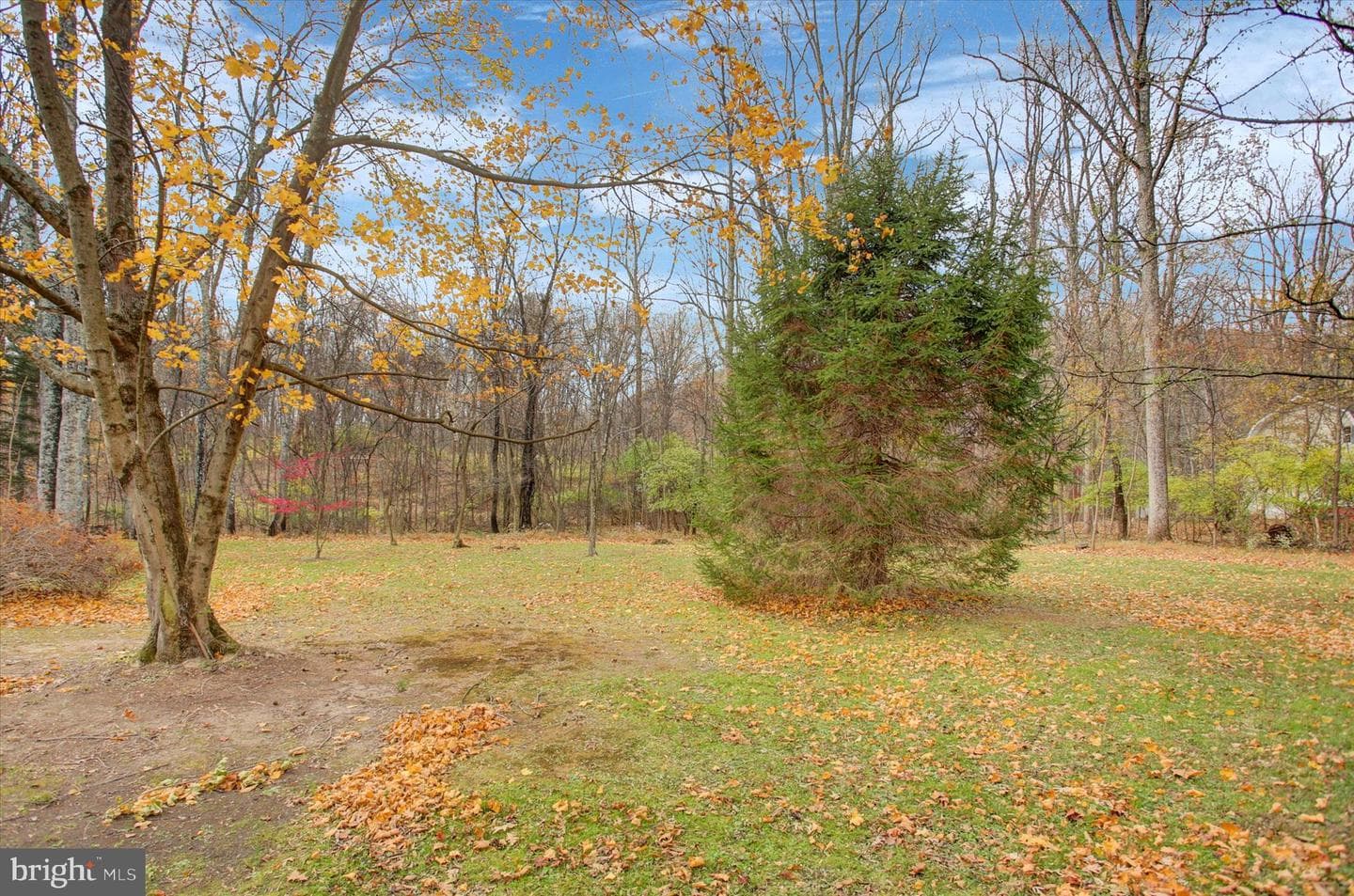 9969 Circle Drive photo 73