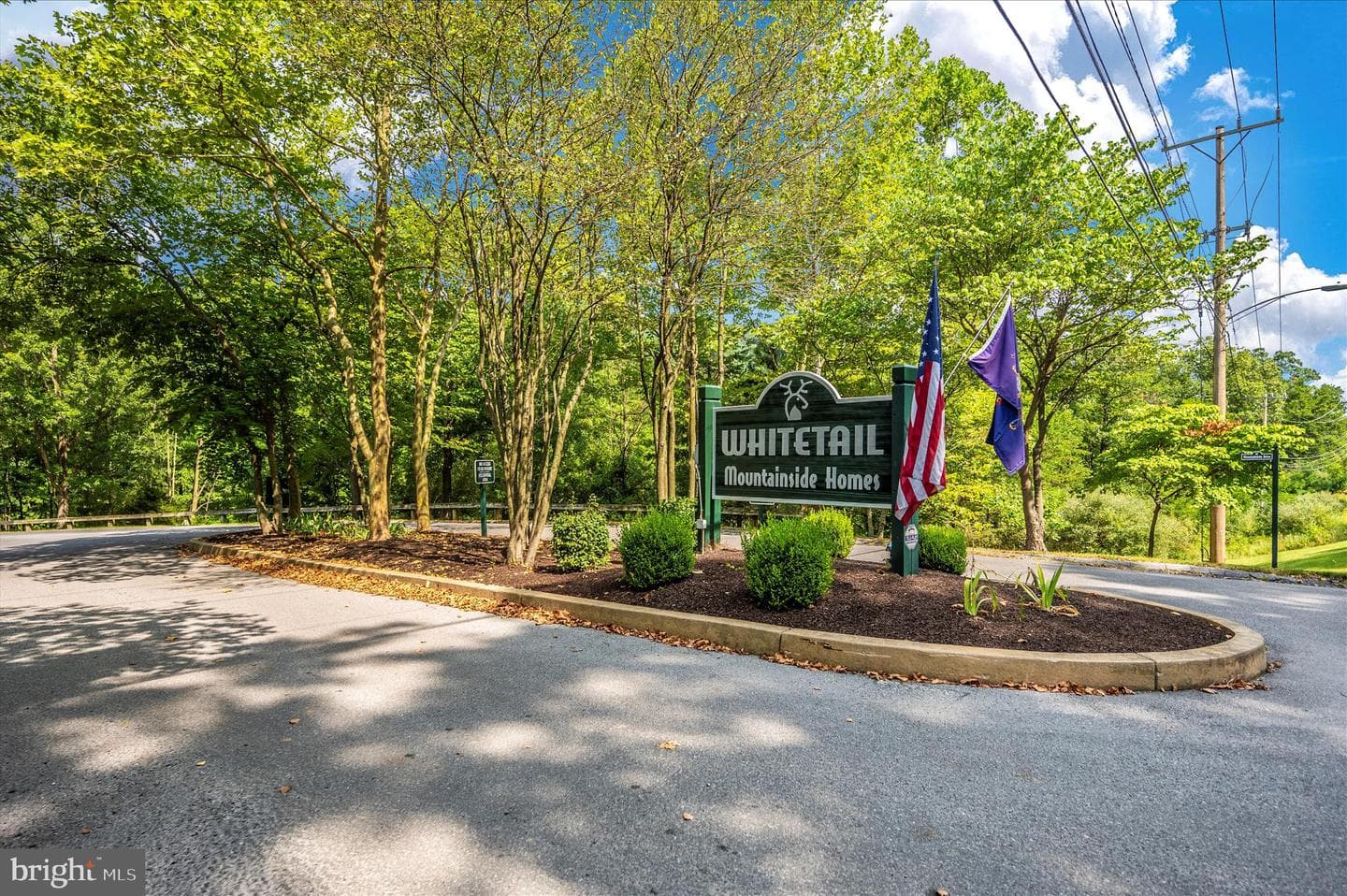 13856 Pond View Lane photo 65