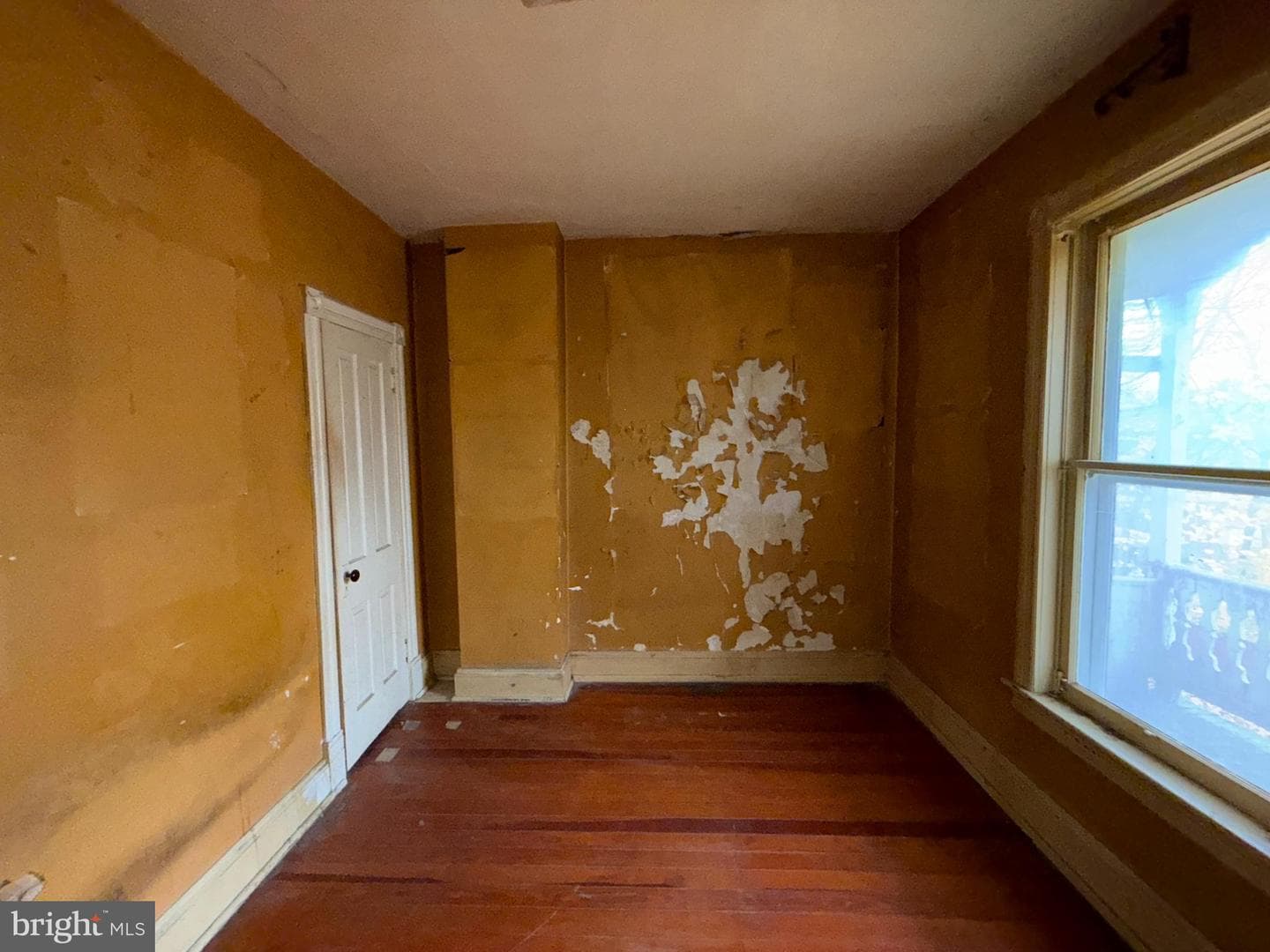 34 Clayton Avenue photo 14