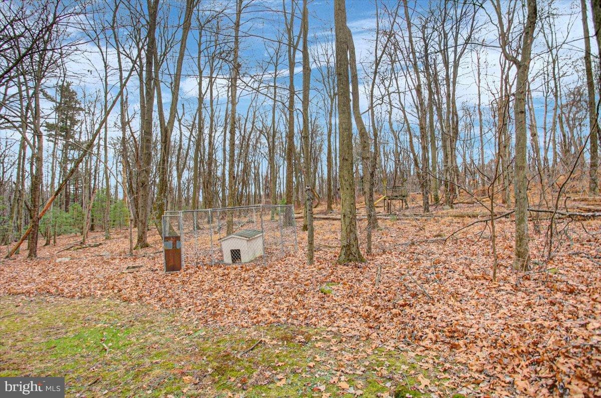 10744 Coral Ridge Road photo 35