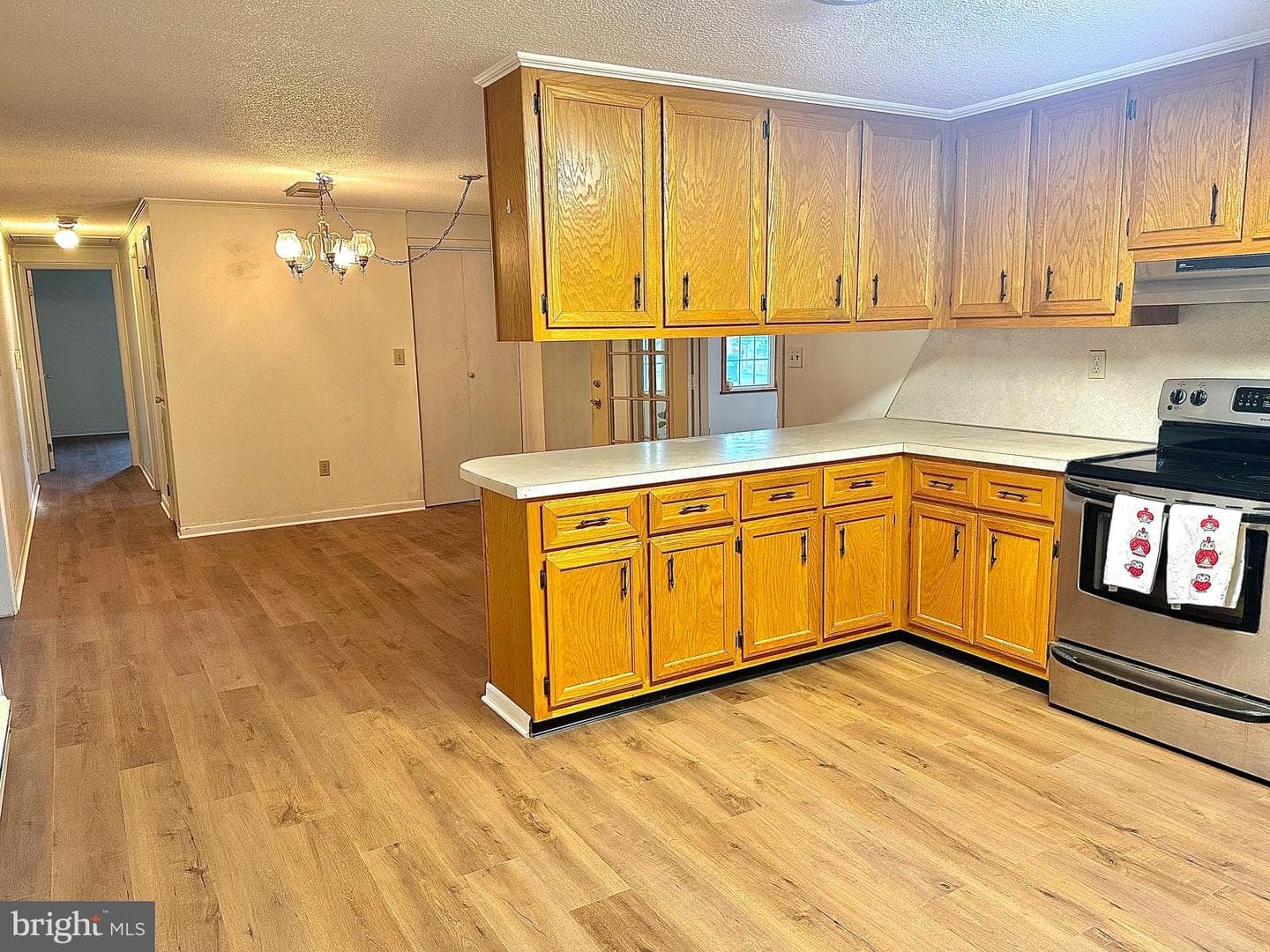 408 Carolle St photo 12