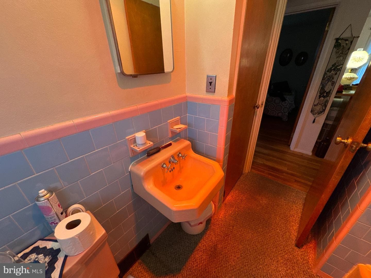 102 Lincoln Drive photo 20