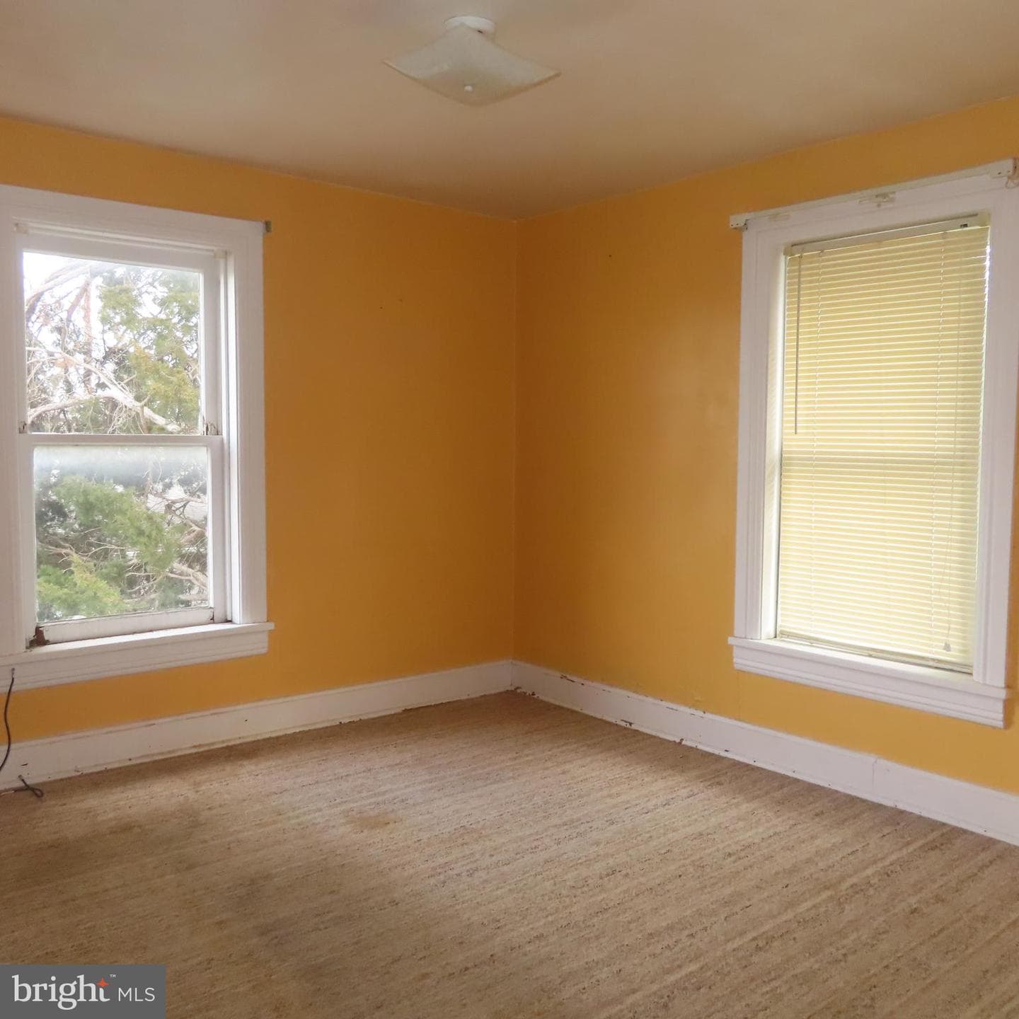 151 N Church Lane photo 35
