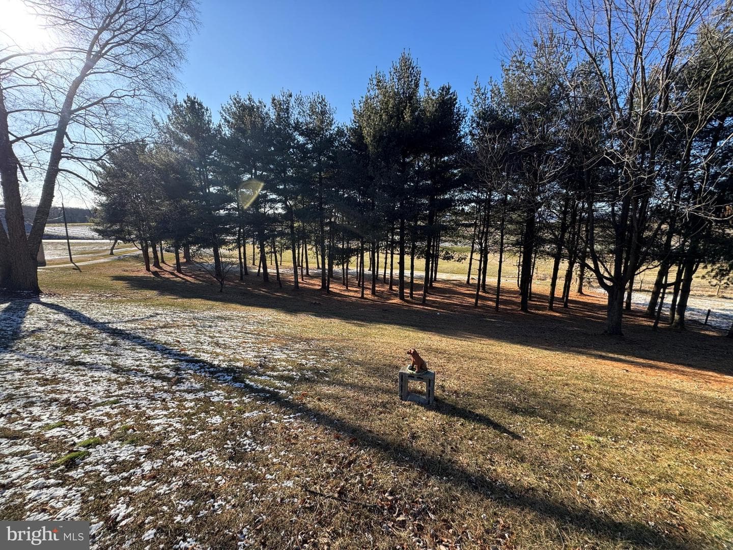 1354 Mt Pleasant Road photo 8