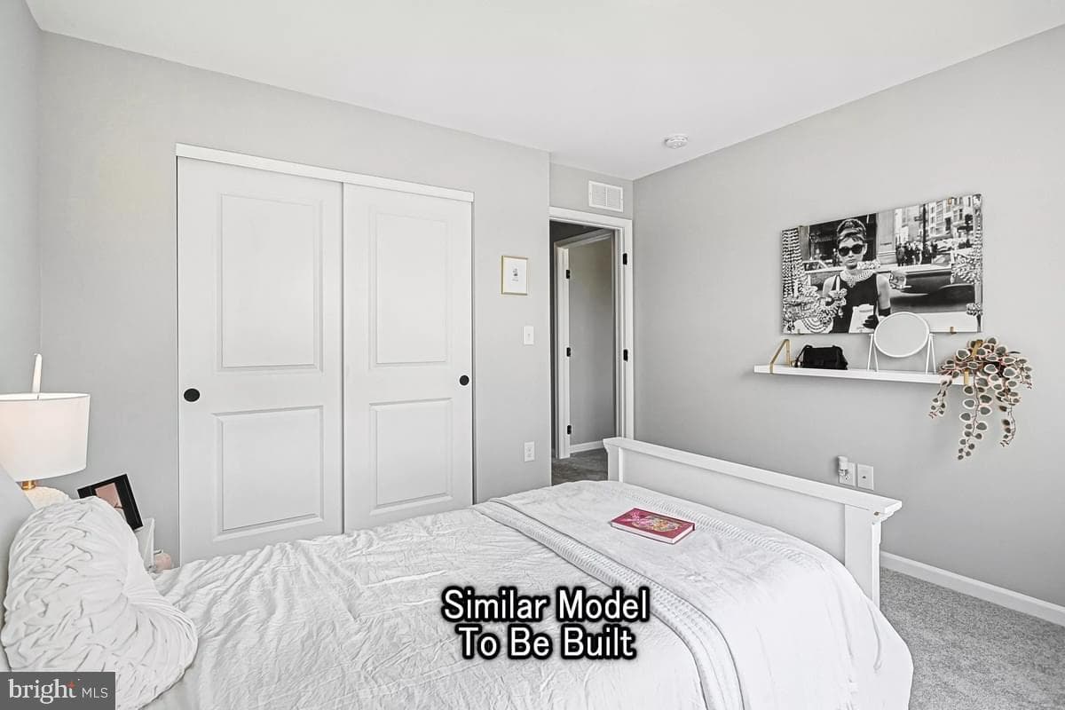 Blue Ridge Plan At Hickory Pointe photo 37