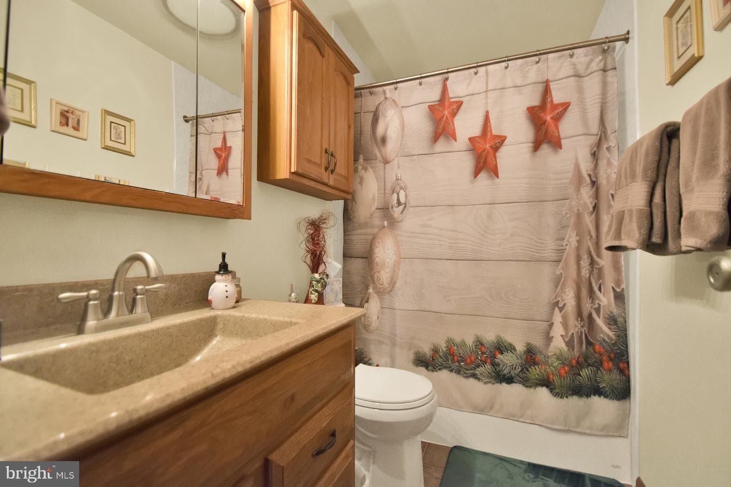 1138 Brandon Drive photo 11
