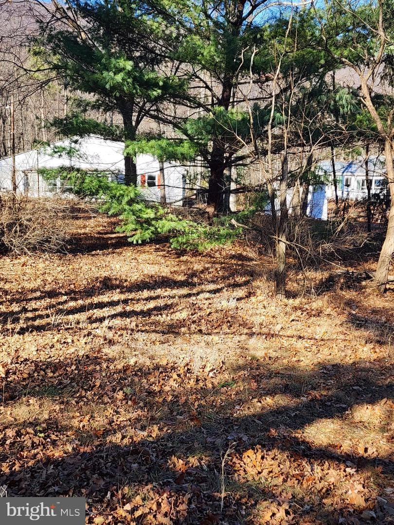 15689 Ridge Road photo 7