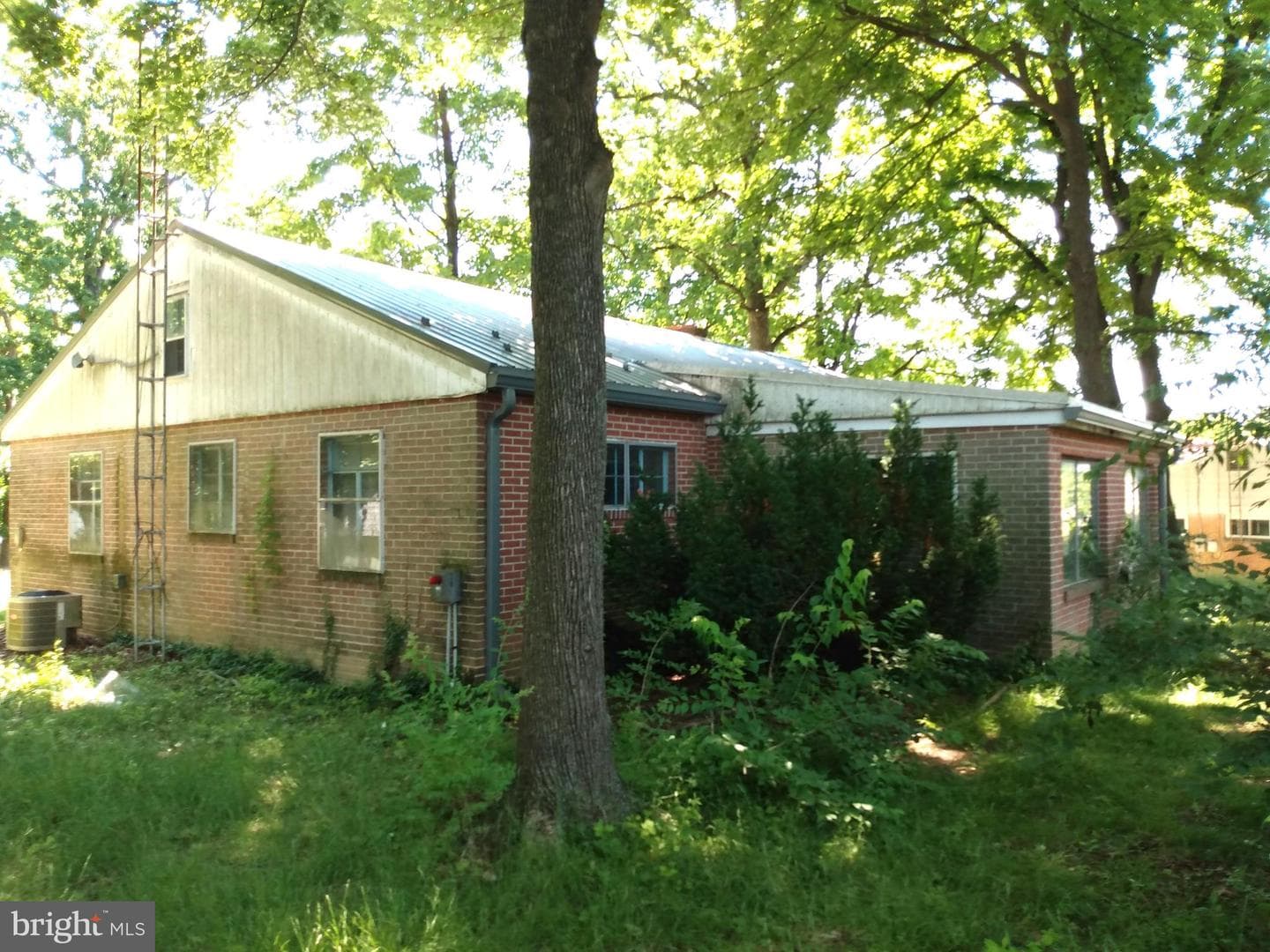135 Oak Forest photo 18