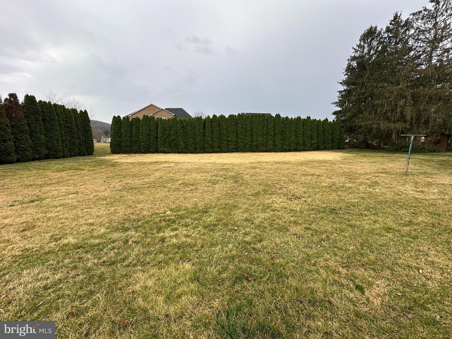 11475 Pine Hill Drive photo 24
