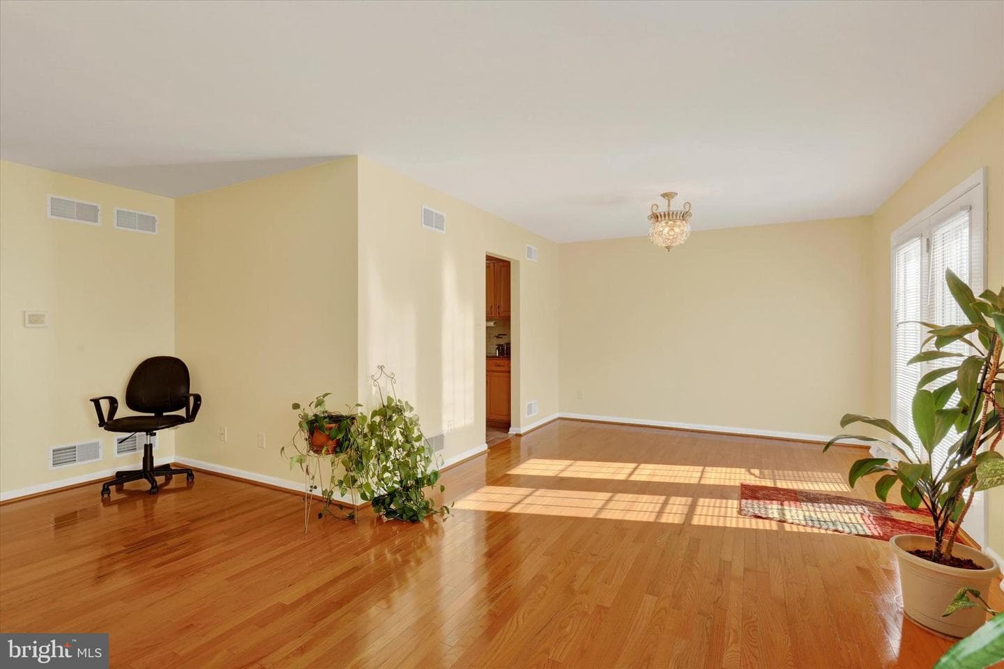 345 Roseann Drive photo 7
