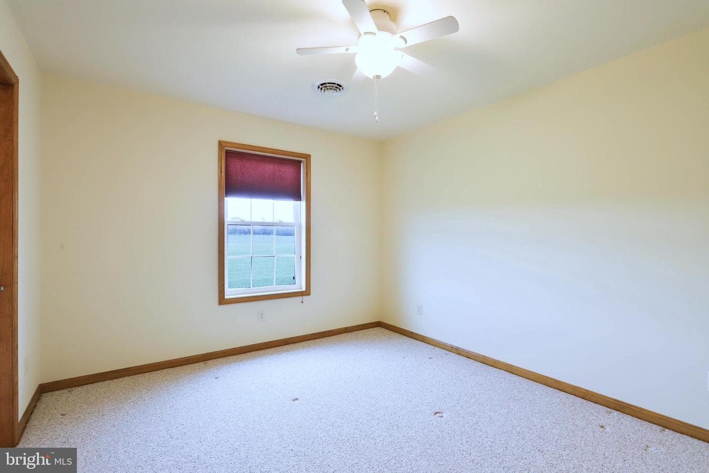11230 Thornwood Road Road photo 22