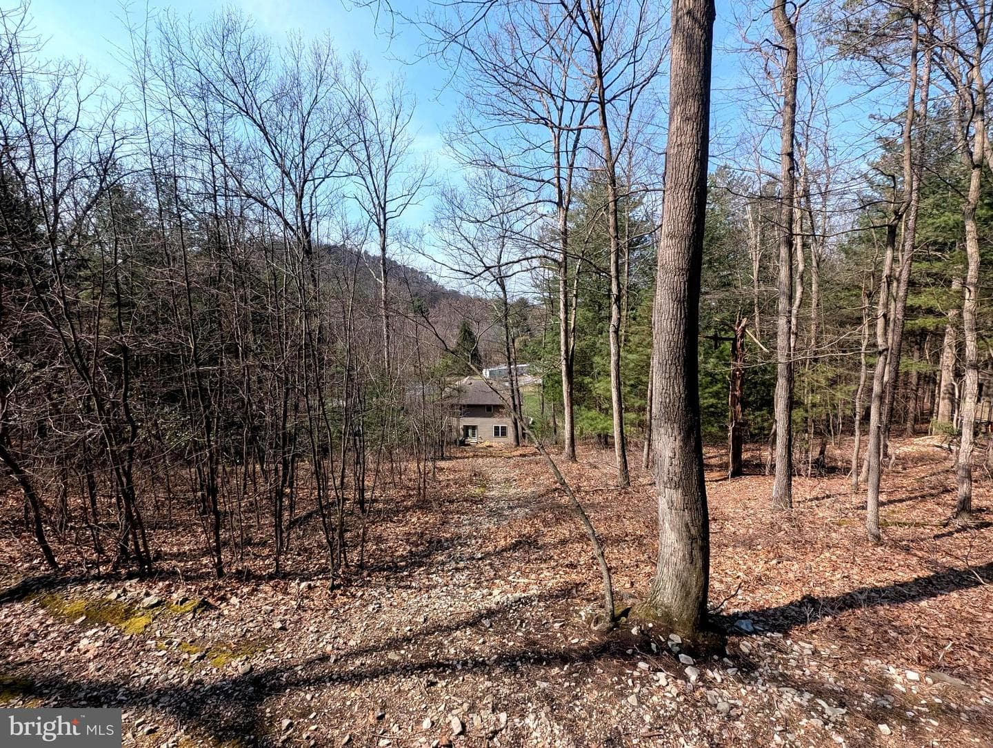 7895 Stump Run Road photo 4