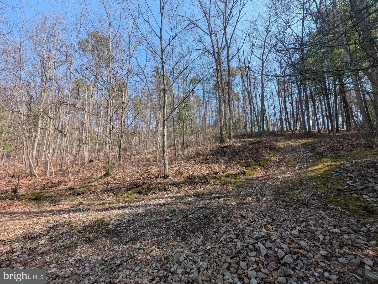 7895 Stump Run Road photo 46