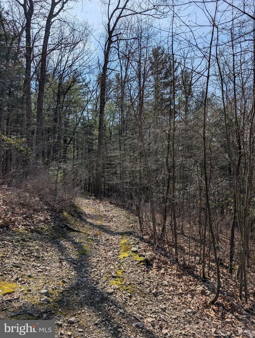 7895 Stump Run Road photo 48