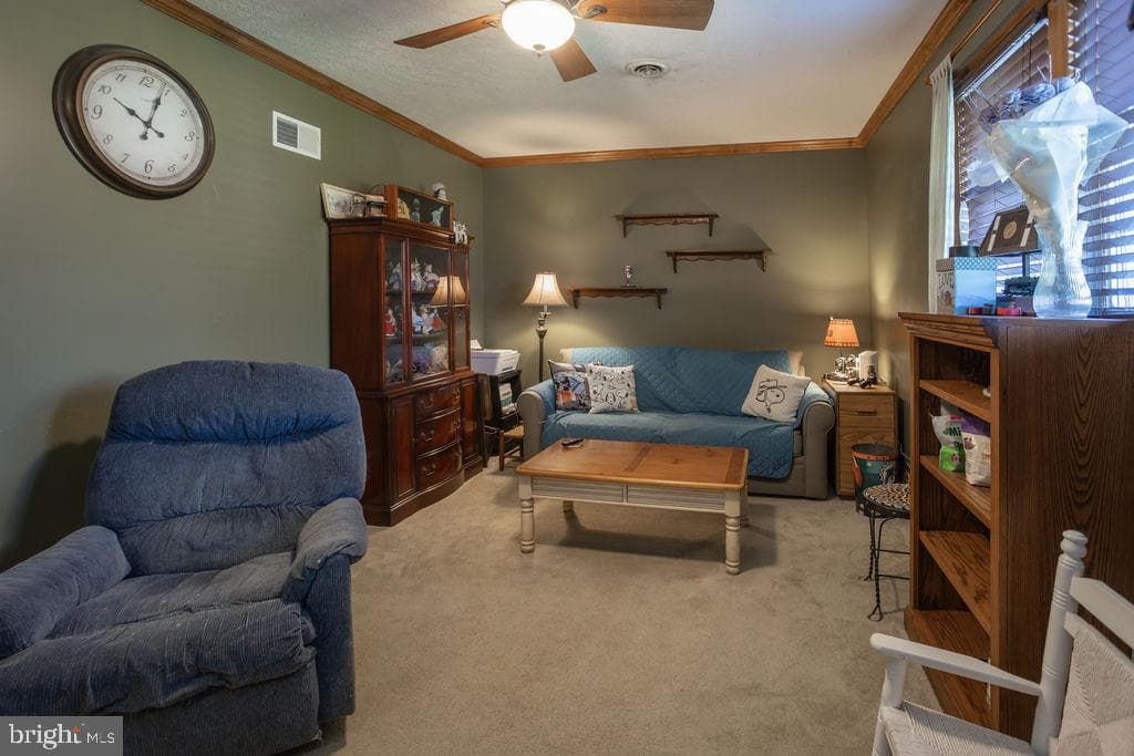 118 Baker And Russell Drive photo 38