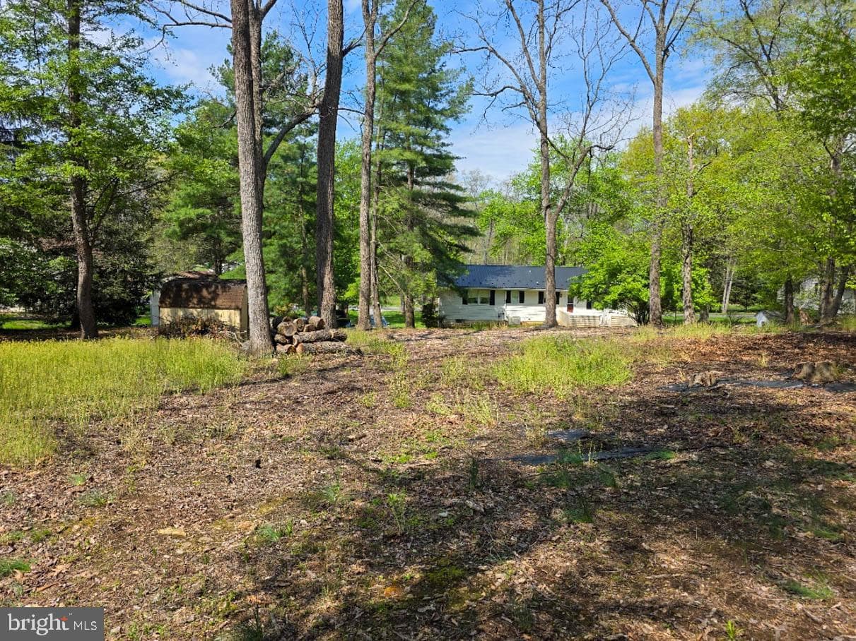 10984 Old Forge Road photo 20