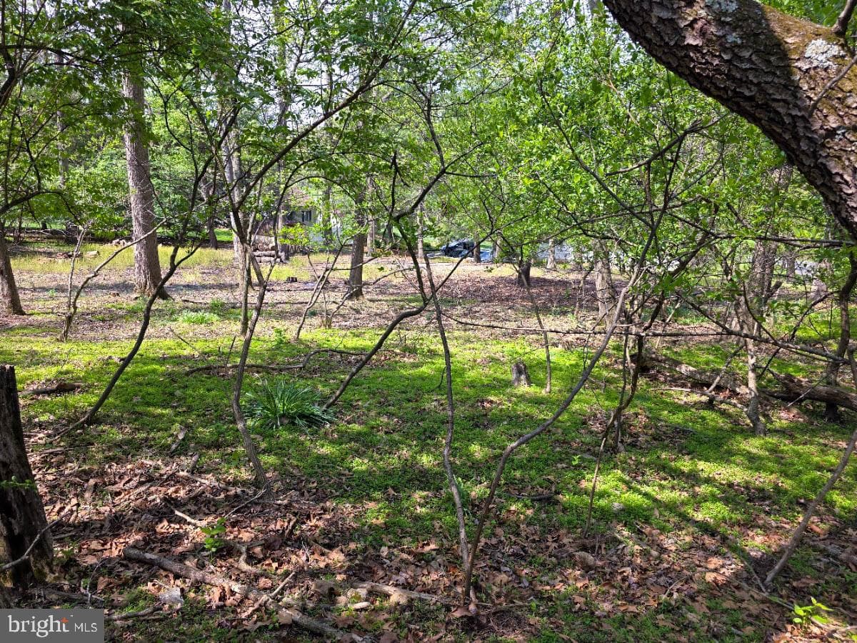 10984 Old Forge Road photo 67