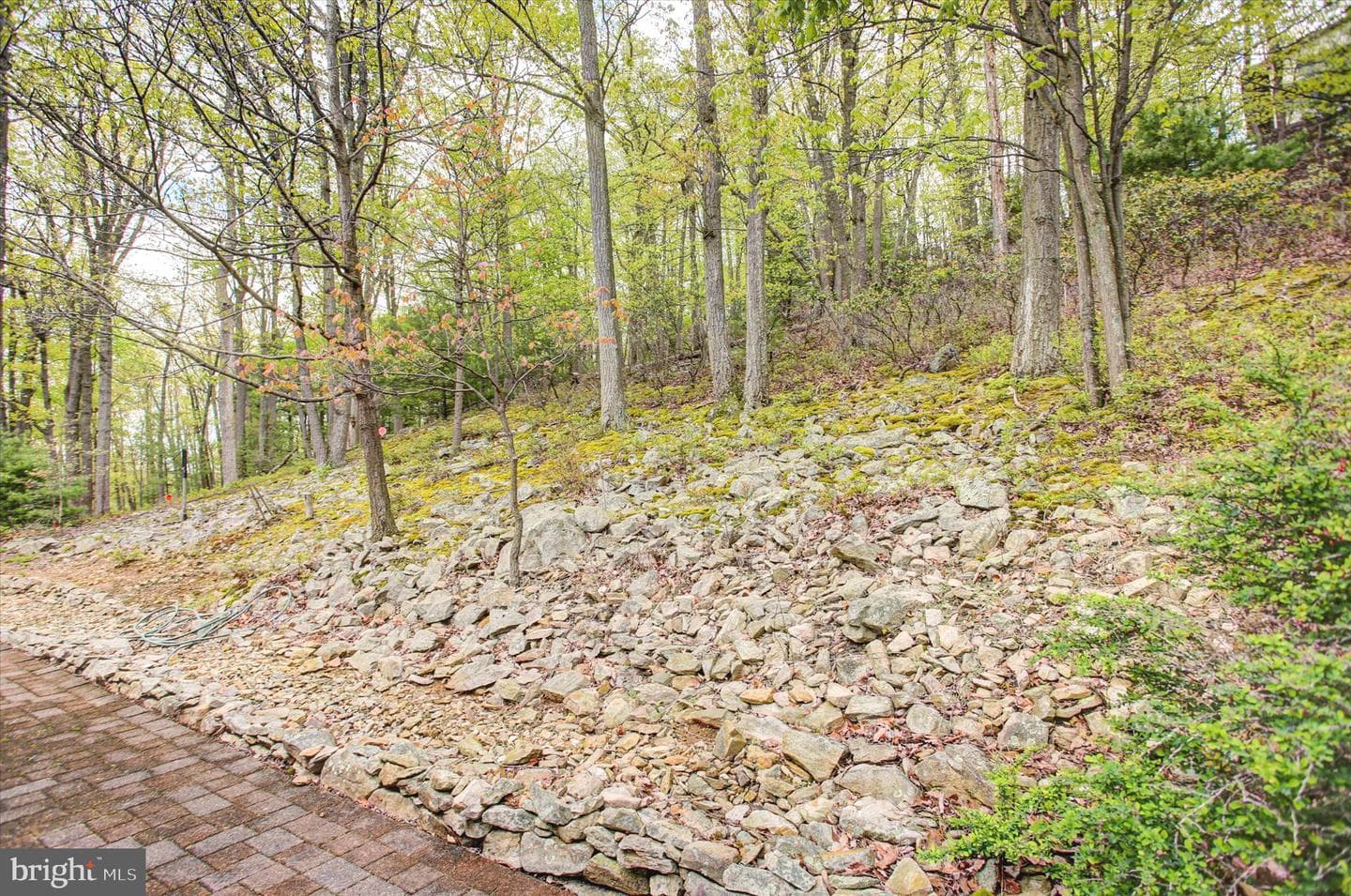 232 Mount Union Road photo 35