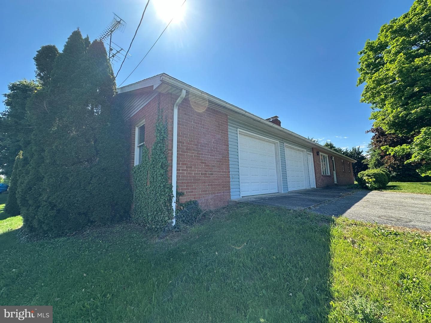 3814 Sycamore Grove Road photo 10