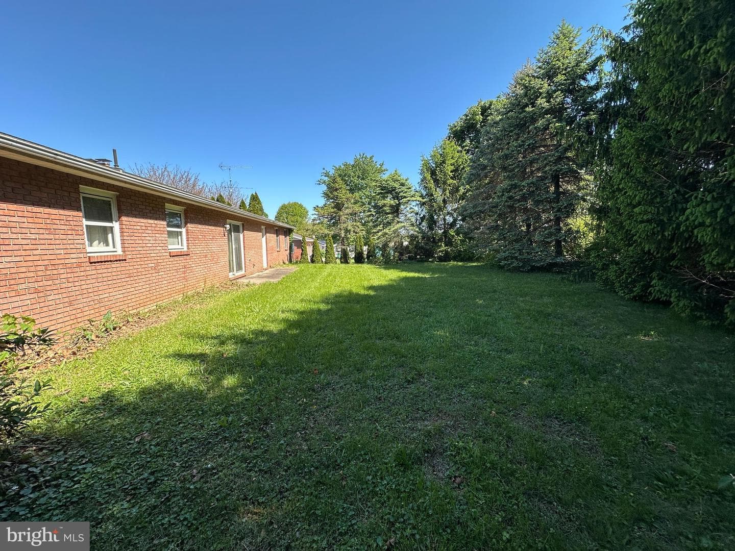 3814 Sycamore Grove Road photo 19
