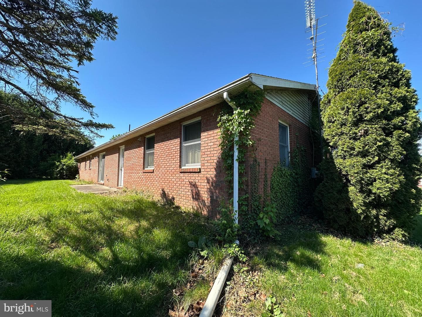 3814 Sycamore Grove Road photo 7