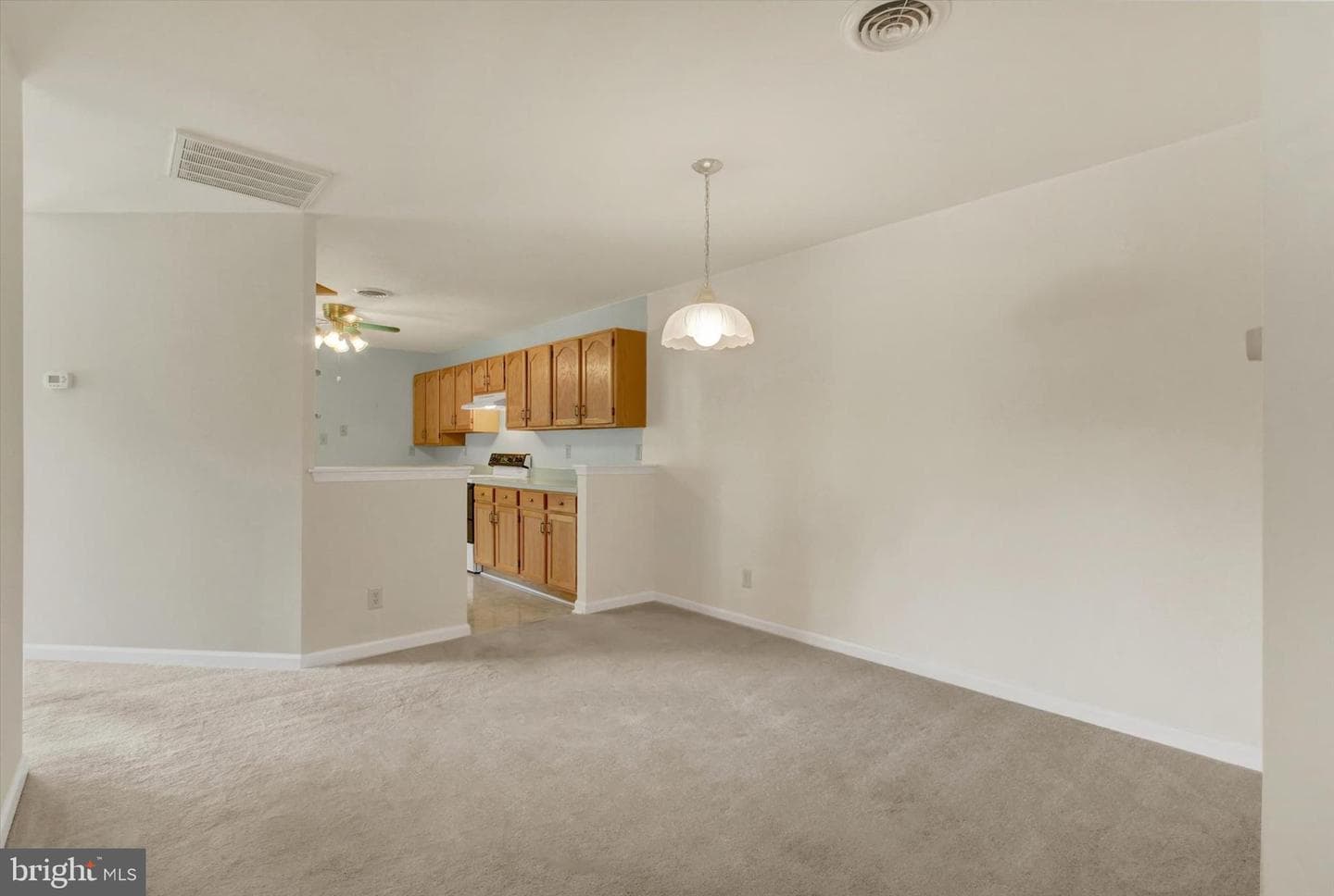 166 Antietam Drive #43 photo 15
