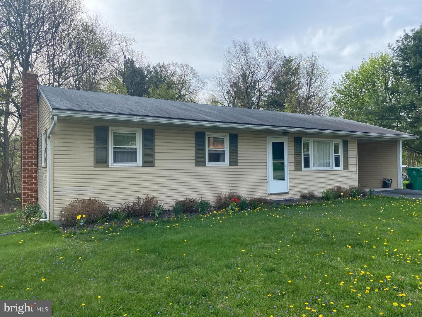 11176 Loop Road photo 2