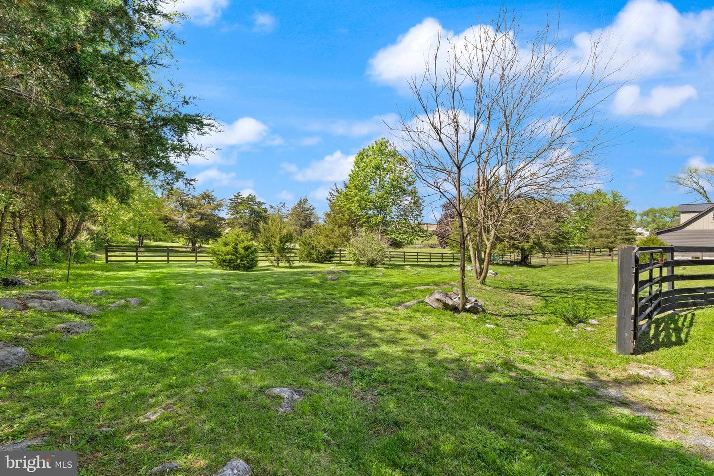 7812 Rowe Run Rd photo 118