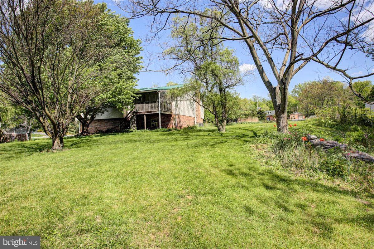 848 Carey Drive photo 7