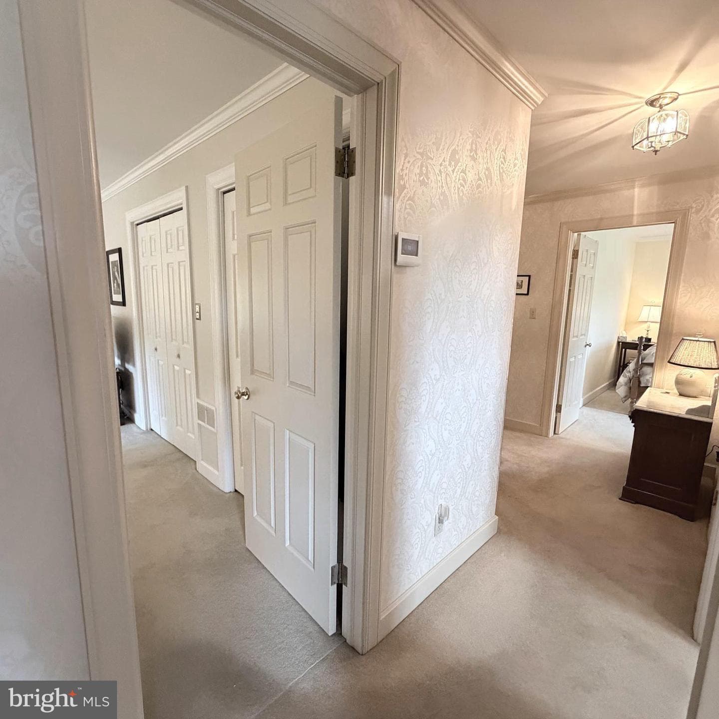 475 Larkspur Lane photo 46