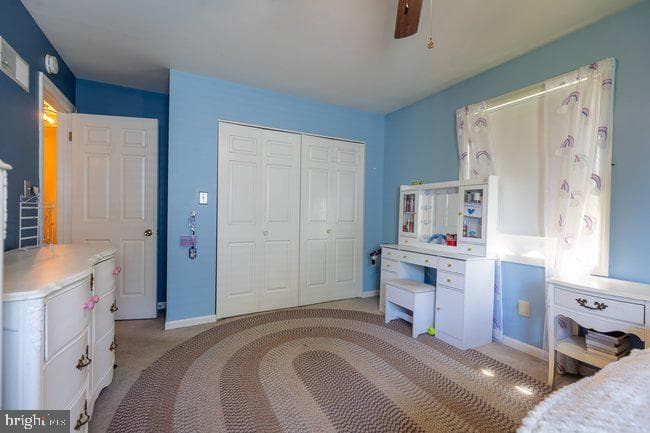 901 Cypress Street photo 31