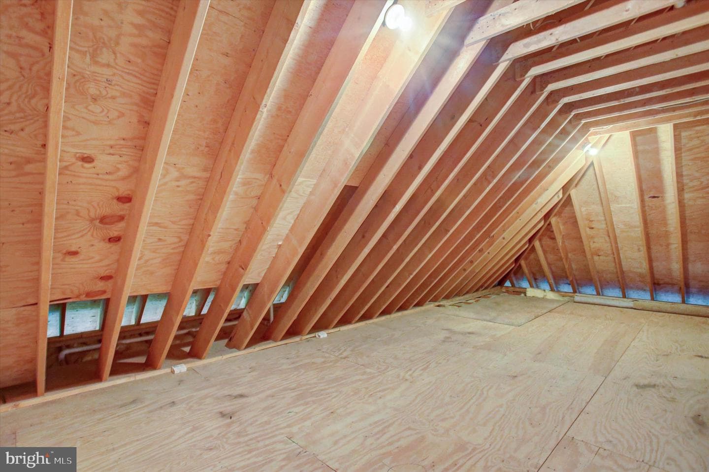 11067 Weatherstone Drive photo 47