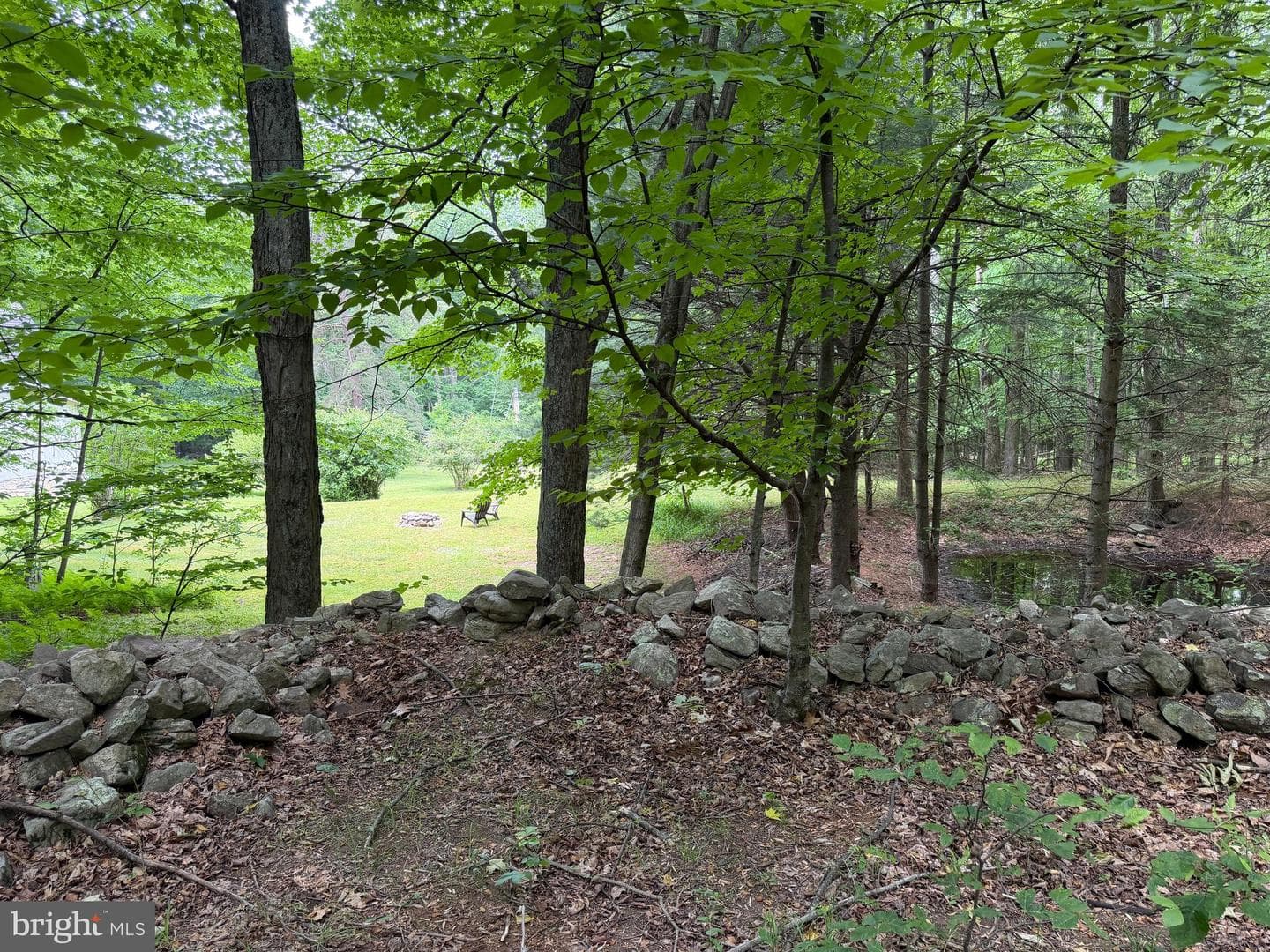23360 Burns Valley Road photo 129