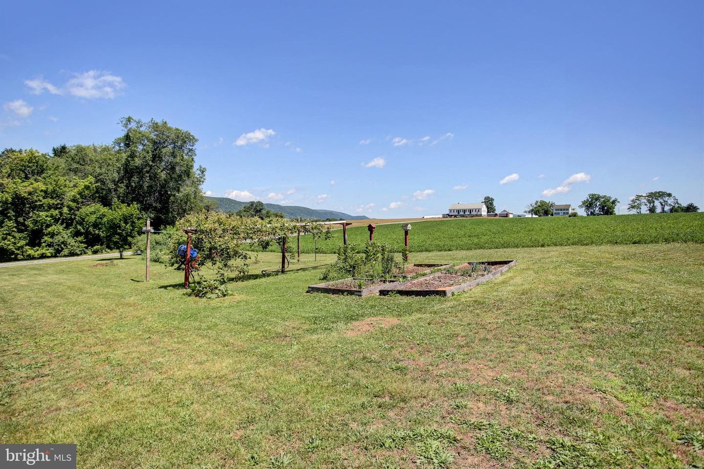 13361 Buchanan Trail West W photo 46