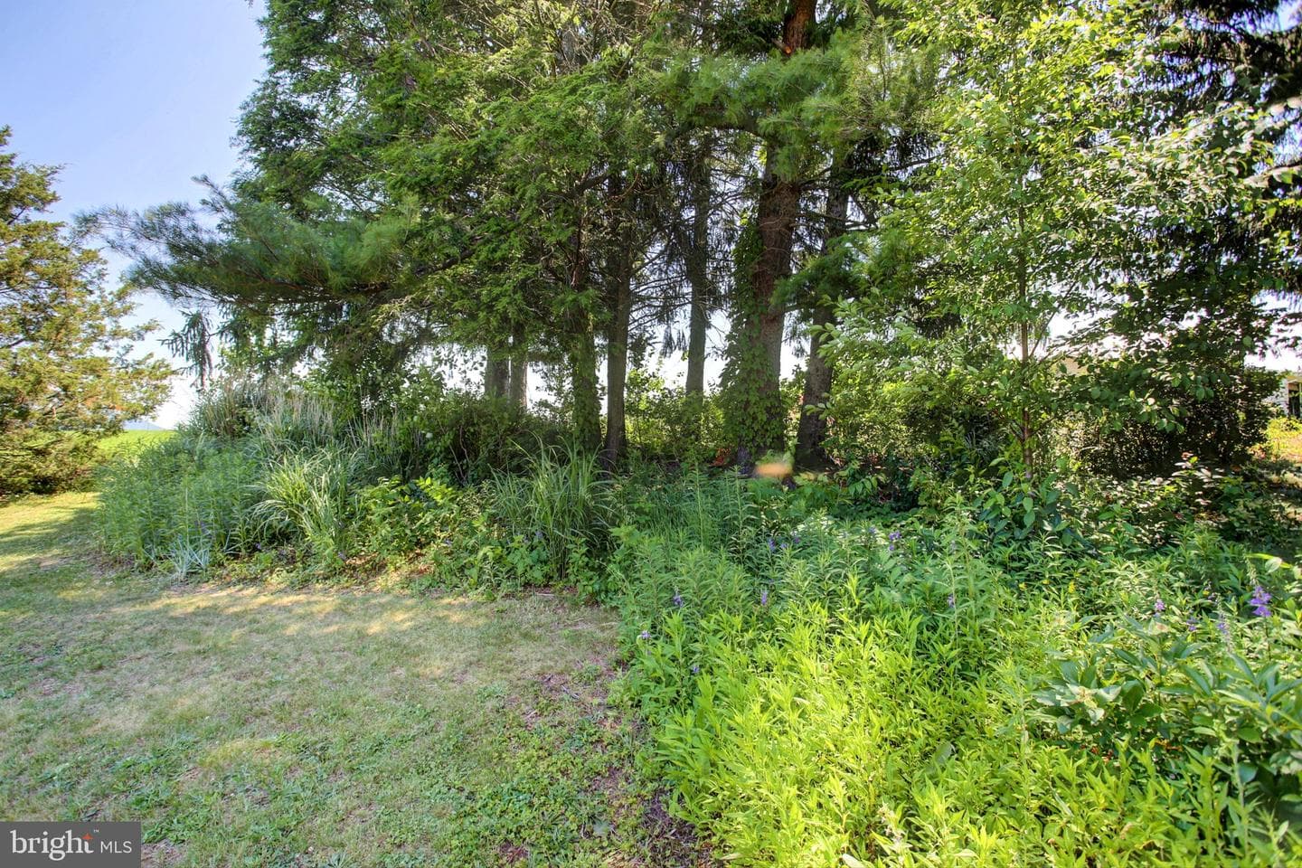 13361 Buchanan Trail West W photo 48