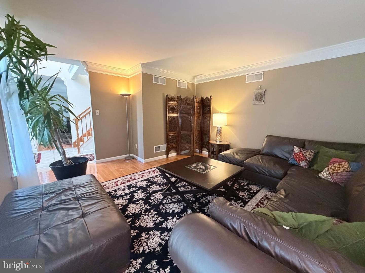 206 Phoenix Drive photo 10